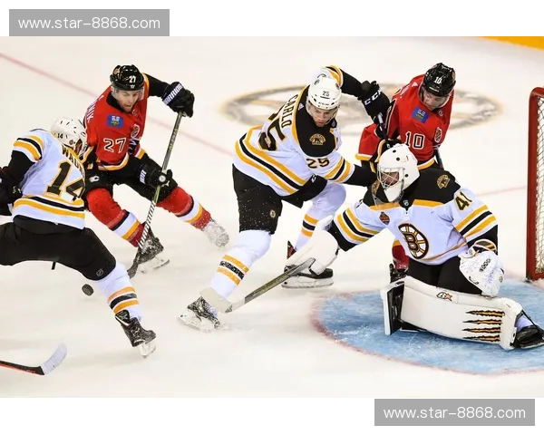 赛程NHL:探索冰球的激情与魅力